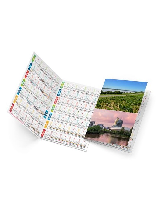 ARTHUR 2026 - NEUTRE 1 POSE