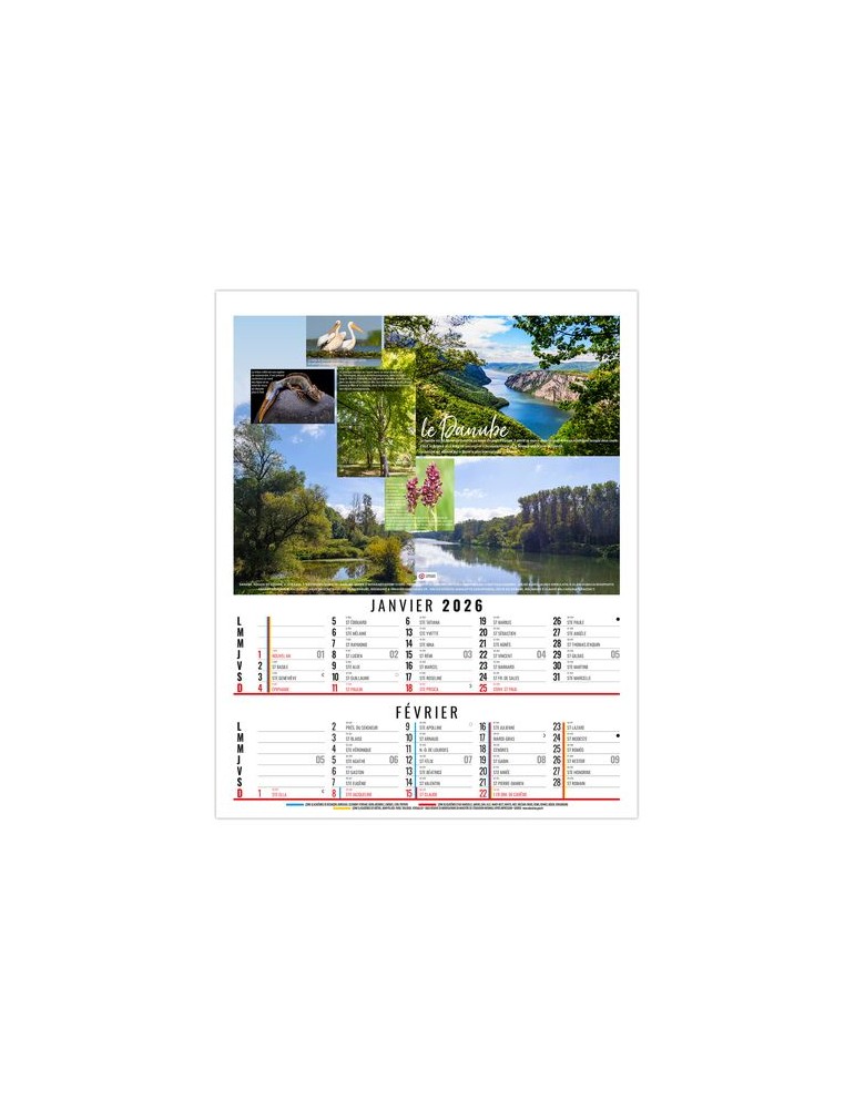 THEO 2026 - 6 FEUILLETS - BLOC SEUL SANS MARQUAGE