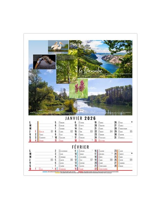 THEO 2026 - 6 FEUILLETS - BLOC SEUL SANS MARQUAGE