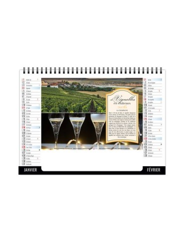 CHEVALET STANDARD 7F - VENDANGE 2026 - QUADRI 2