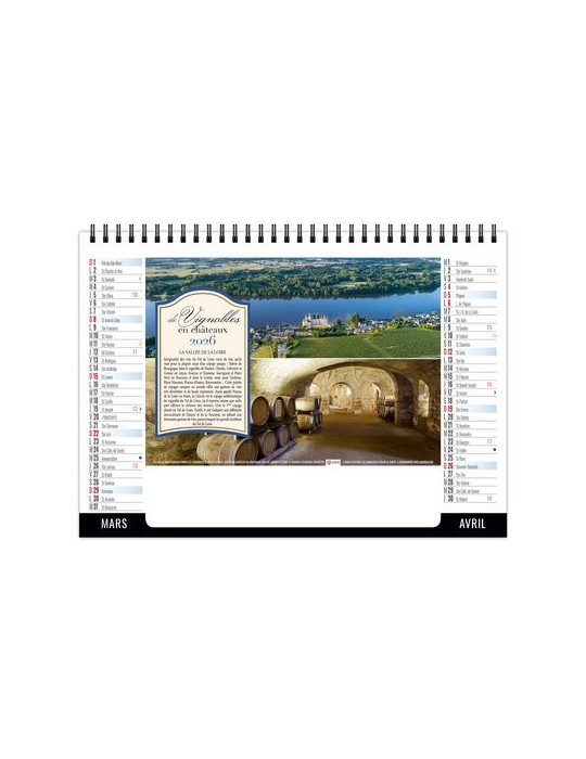 CHEVALET STANDARD 7F - VENDANGE 2026 - QUADRI