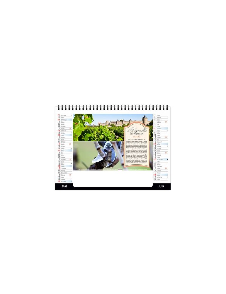 CHEVALET STANDARD 7F - VENDANGE 2026 - QUADRI