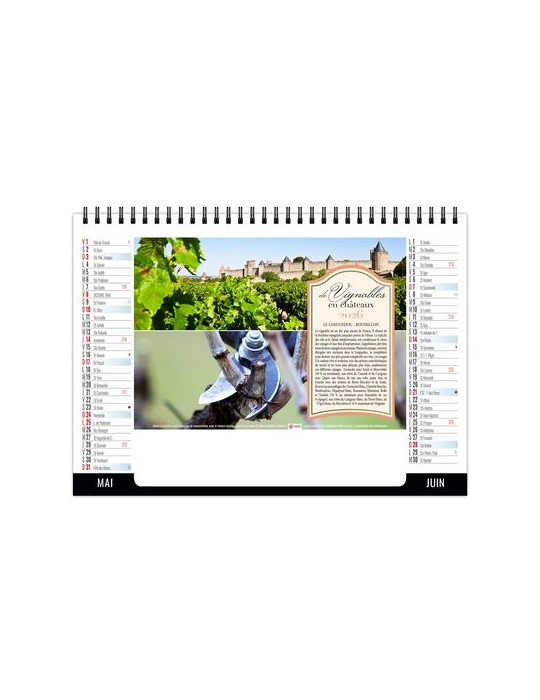 CHEVALET STANDARD 7F - VENDANGE 2026 - QUADRI