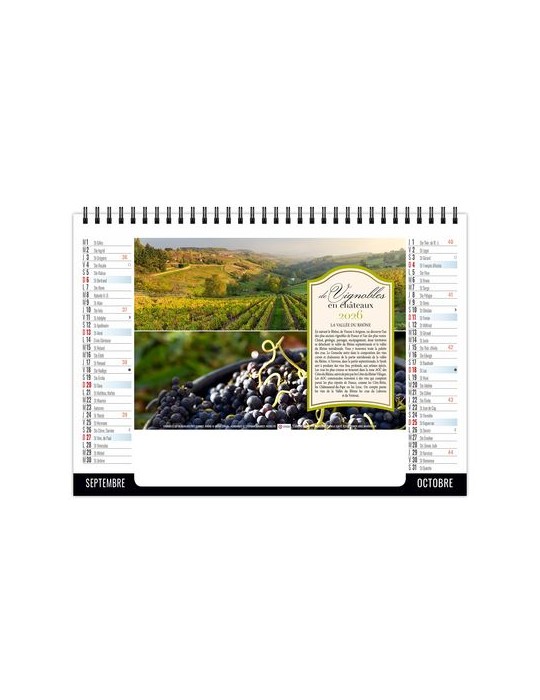 CHEVALET STANDARD 7F - VENDANGE 2026 - QUADRI