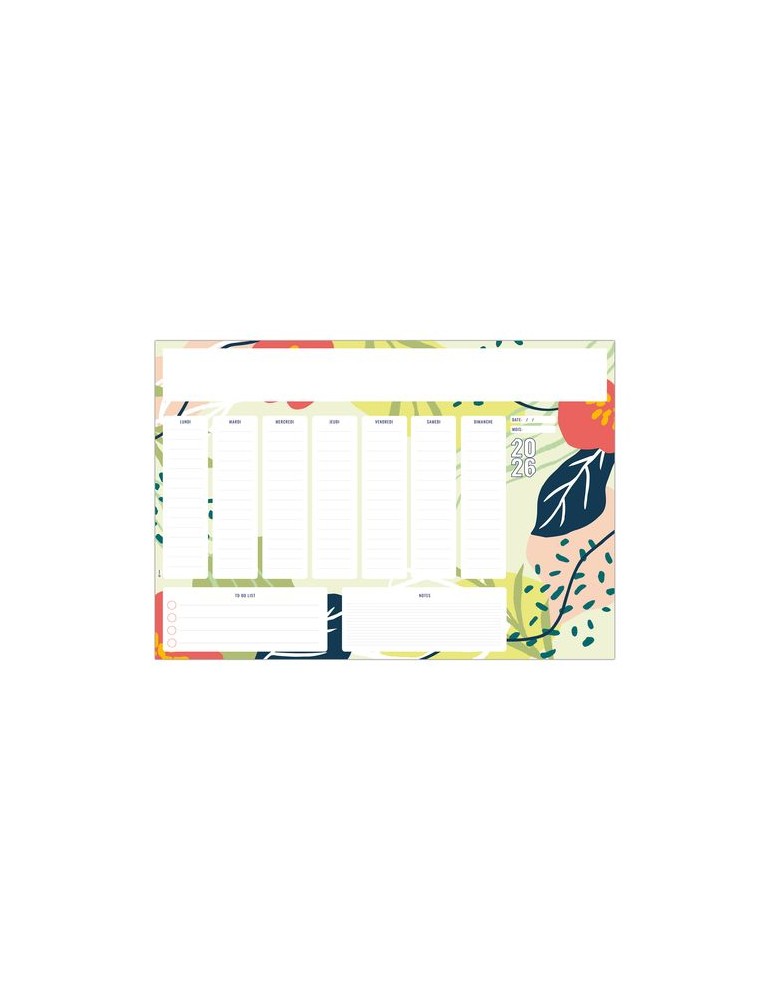 SM ORGANISER 2026 - SM 500 x 350 mm - 25 FEUILLETS