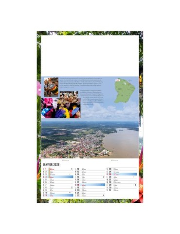 PLAQUE 1 VUE NOE 2026 - DOS CARTON ET BLOC B1 - SANS MARQUAGE