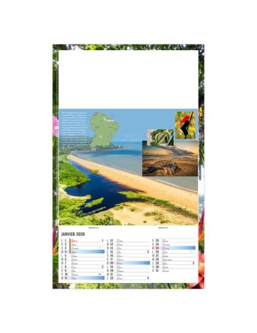 PLAQUE 1 VUE NOE 2026 - DOS CARTON ET BLOC B1 - SANS MARQUAGE 2