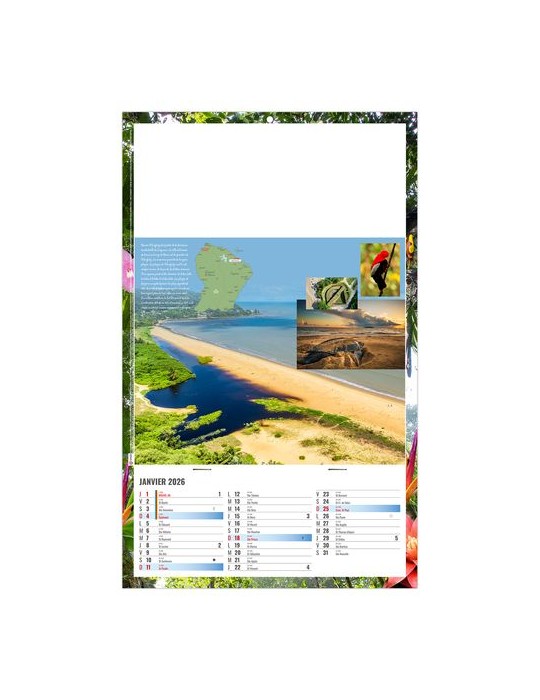 PLAQUE 1 VUE NOE 2026 - DOS CARTON ET BLOC B1 - SANS MARQUAGE