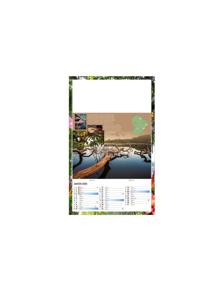 PLAQUE 1 VUE NOE 2026 - DOS CARTON ET BLOC B1 - SANS MARQUAGE