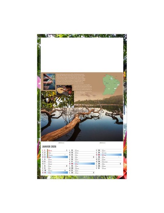 PLAQUE 1 VUE NOE 2026 - DOS CARTON ET BLOC B1 - SANS MARQUAGE