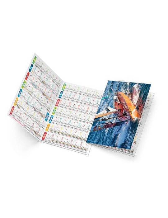 LOIC 2026 - NEUTRE 1 POSE