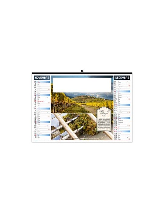 ILLUSTRE ECO - GRAPPE 2026 - SMALL 480 x 330 mm