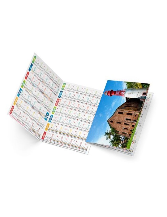 ELLA 2026 - NEUTRE 1 POSE