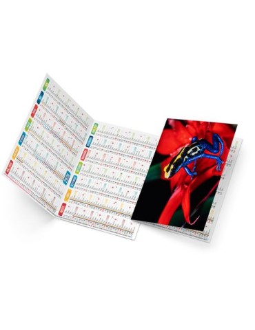 ELLA 2026 - NEUTRE 1 POSE goodies publicitaire événementiel