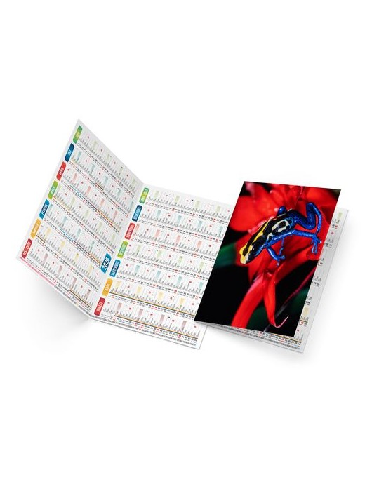 ELLA 2026 - NEUTRE 1 POSE