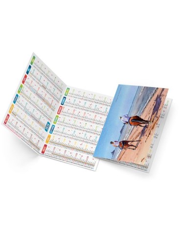 MARCO 2026 - NEUTRE 1 POSE