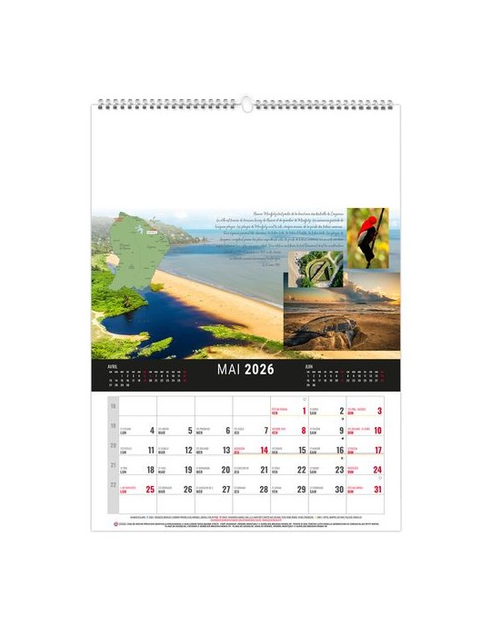 MURAL 12F - CAMOPI 2026 - QUADRI