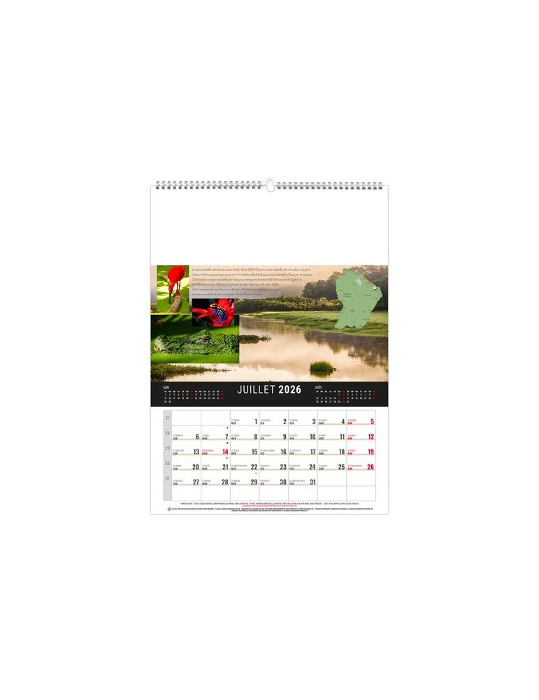 MURAL 12F - CAMOPI 2026 - QUADRI