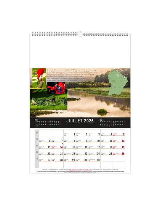 MURAL 12F - CAMOPI 2026 - QUADRI