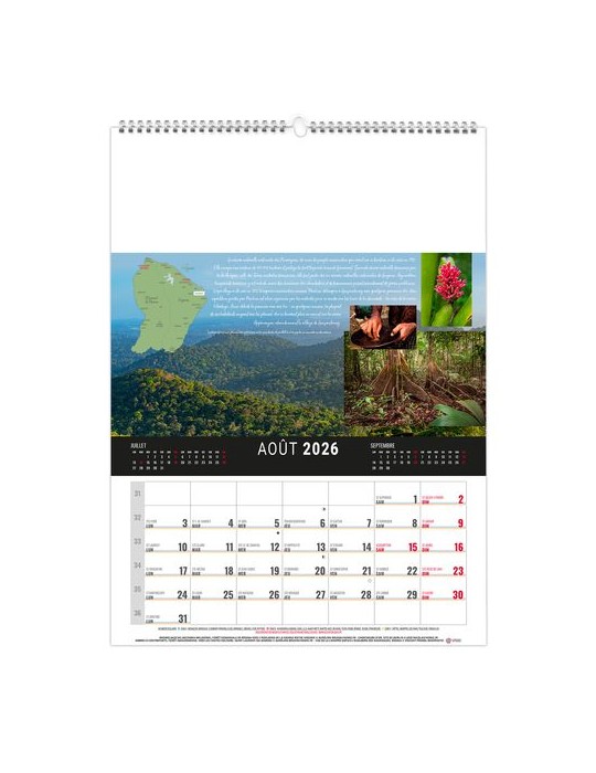 MURAL 12F - CAMOPI 2026 - QUADRI