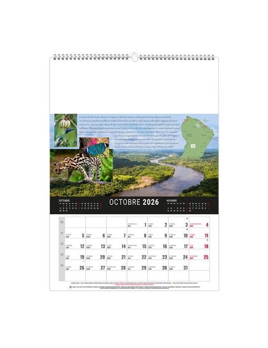 MURAL 12F - CAMOPI 2026 - QUADRI