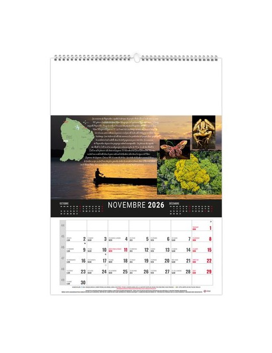 MURAL 12F - CAMOPI 2026 - QUADRI