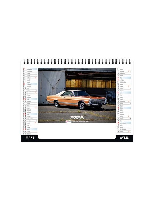 CHEVALET STANDARD 7F - VITESSE 2026 - QUADRI