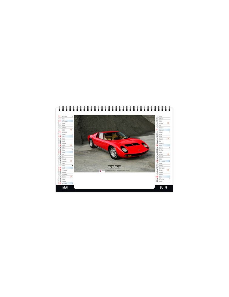 CHEVALET STANDARD 7F - VITESSE 2026 - QUADRI