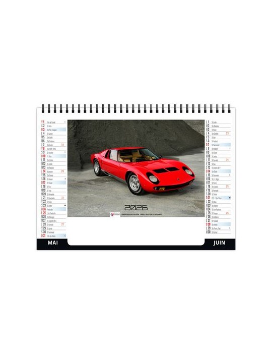 CHEVALET STANDARD 7F - VITESSE 2026 - QUADRI