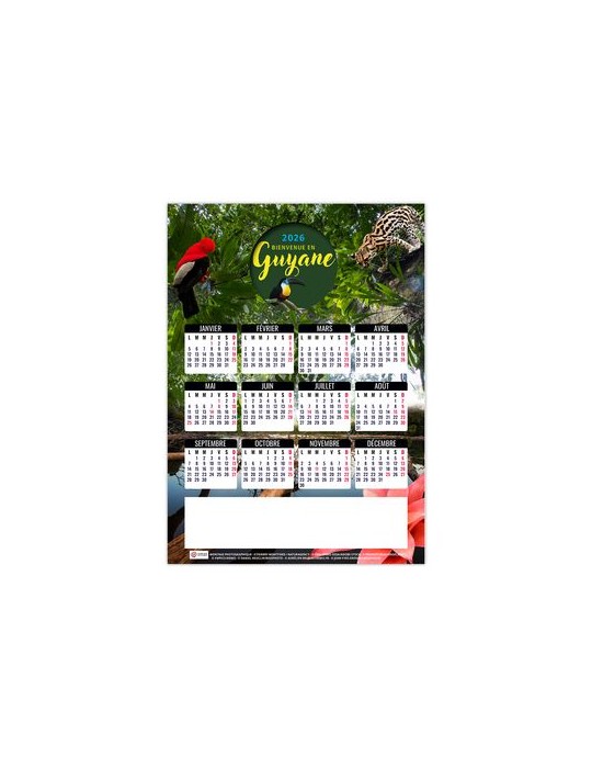 MAG ILE 2026 - MINI MAGNET 140 x 140 mm - QUADRI