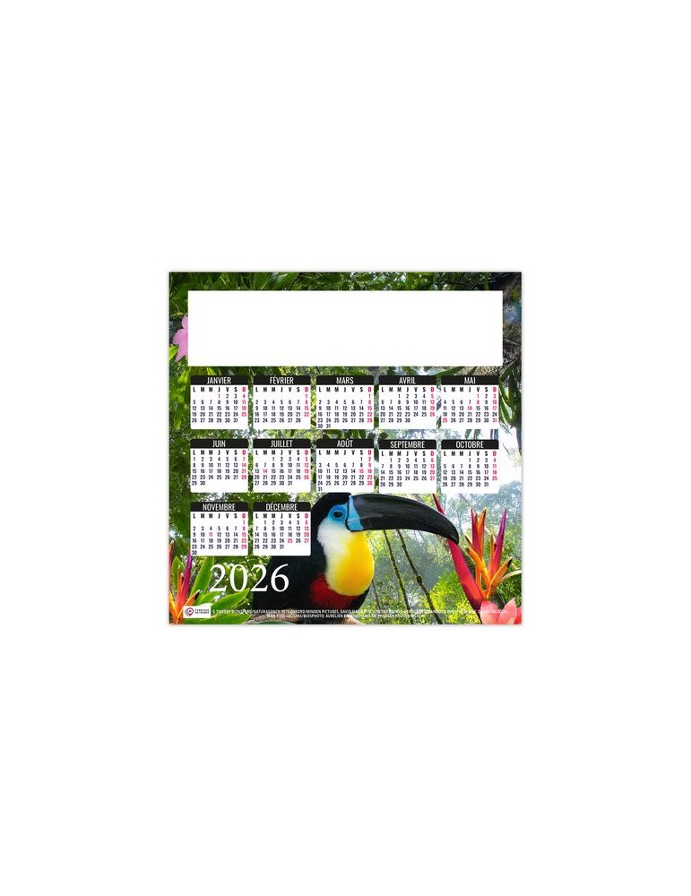 MAG ILE 2026 - MINI MAGNET 140 x 140 mm - QUADRI