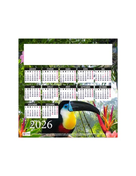 MAG ILE 2026 - MINI MAGNET 140 x 140 mm - QUADRI