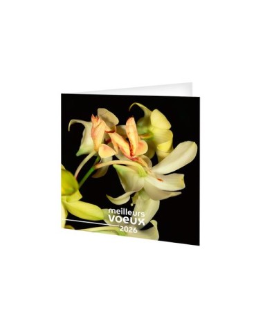 CARTE DE VOEUX - INVISIBLE 2026  AVEC ENVELOPPE - SANS MARQUAGE