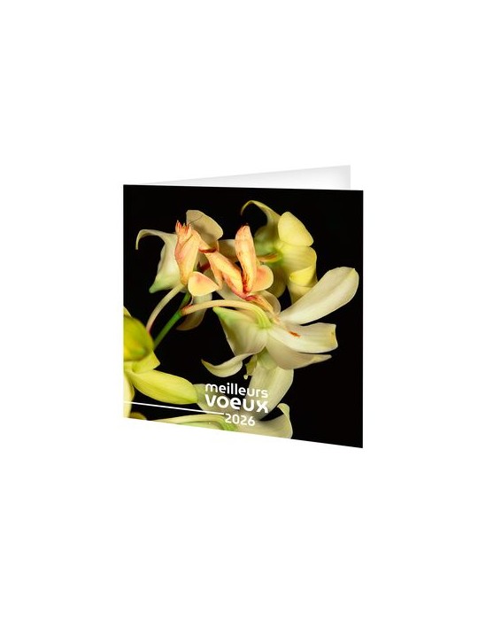 CARTE DE VOEUX - INVISIBLE 2026  AVEC ENVELOPPE - SANS MARQUAGE