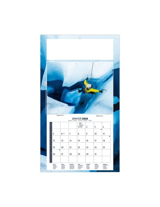 PLAQUE 1 VUE KELLY 2026 - DOS CARTON - EURO BLOC - SANS MARQUAGE