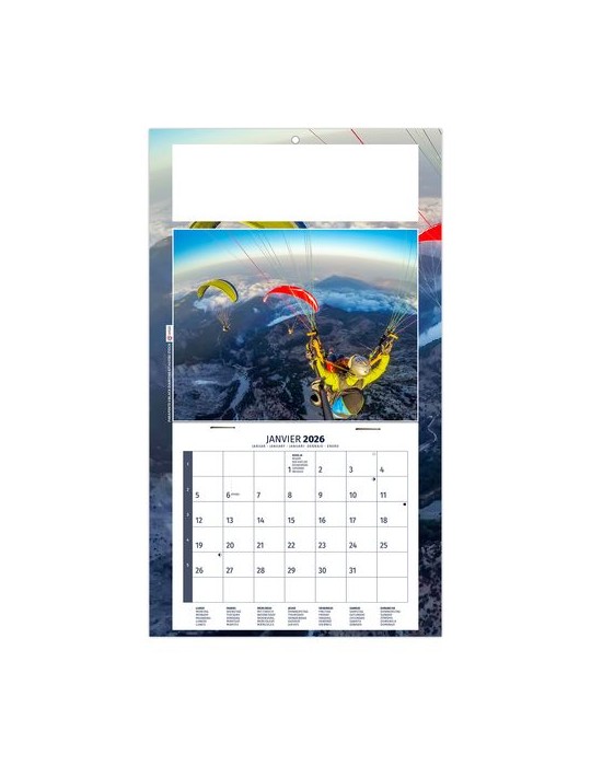 PLAQUE 1 VUE KELLY 2026 - DOS CARTON - EURO BLOC - SANS MARQUAGE