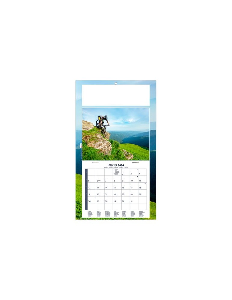 PLAQUE 1 VUE KELLY 2026 - DOS CARTON - EURO BLOC - SANS MARQUAGE