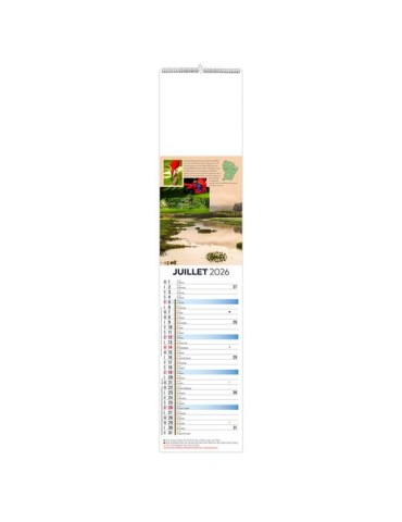 LANGUETTE - NOURAGUES 2026 - QUADRI livraison express 24h 48h