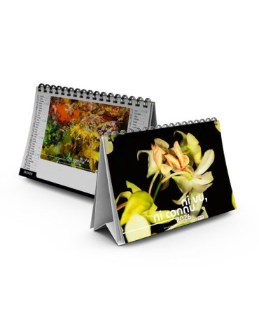 CHEVALET STANDARD 7F - CAMOUFLAGE 2026 - QUADRI