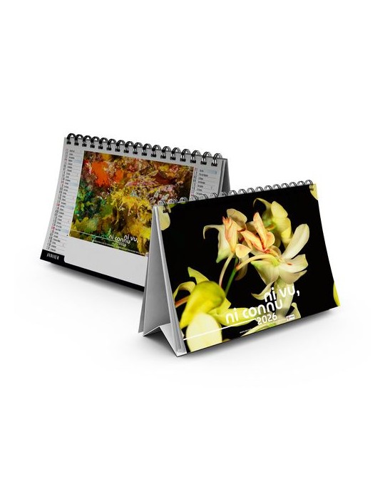 CHEVALET STANDARD 7F - CAMOUFLAGE 2026 - QUADRI