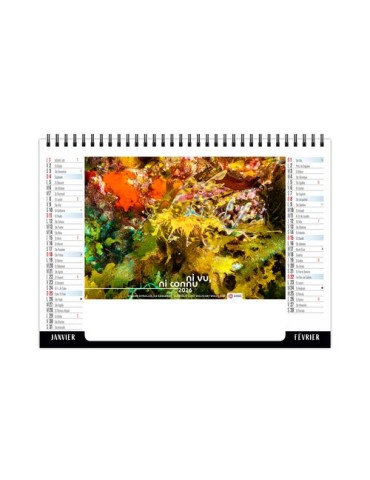 CHEVALET STANDARD 7F - CAMOUFLAGE 2026 - QUADRI 2