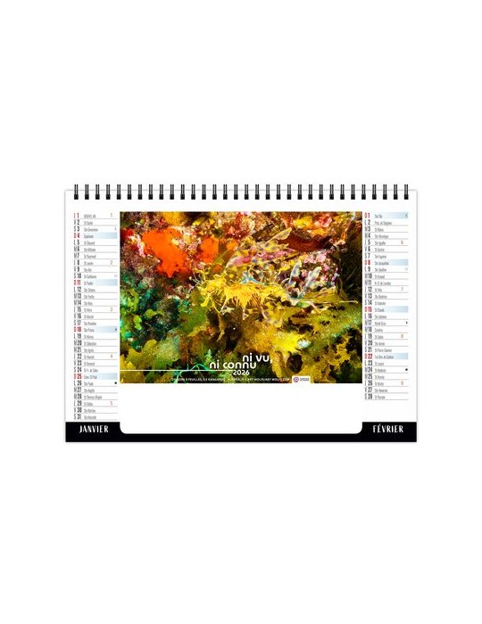 CHEVALET STANDARD 7F - CAMOUFLAGE 2026 - QUADRI