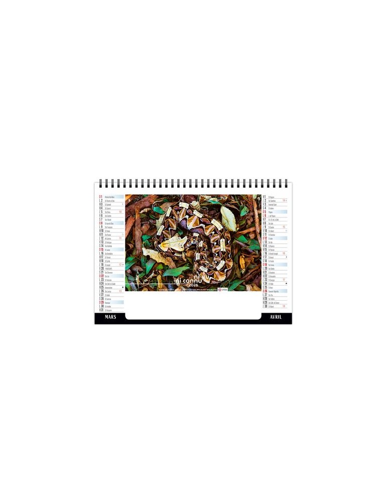 CHEVALET STANDARD 7F - CAMOUFLAGE 2026 - QUADRI