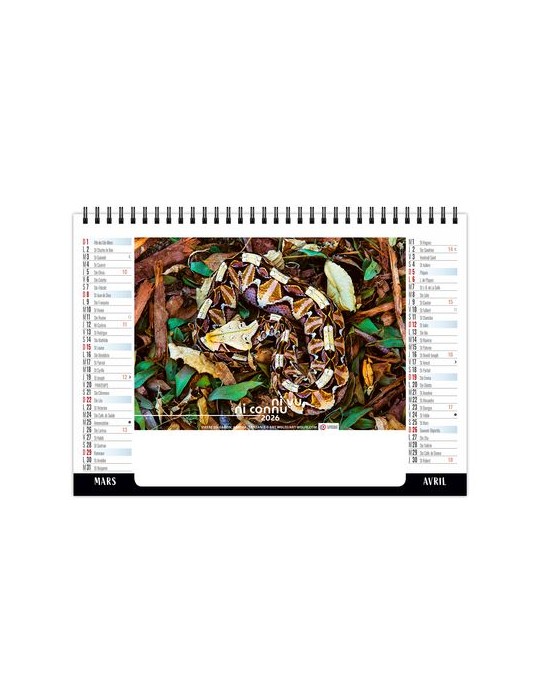 CHEVALET STANDARD 7F - CAMOUFLAGE 2026 - QUADRI