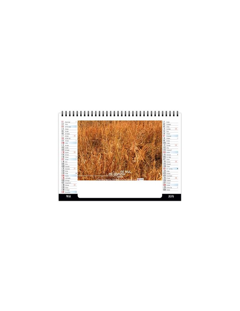 CHEVALET STANDARD 7F - CAMOUFLAGE 2026 - QUADRI