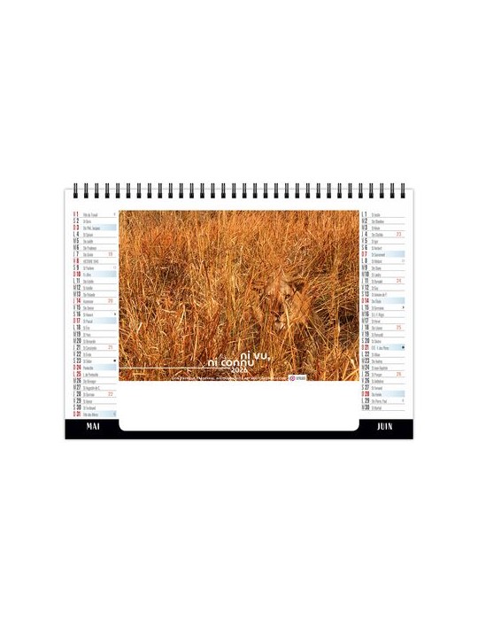 CHEVALET STANDARD 7F - CAMOUFLAGE 2026 - QUADRI