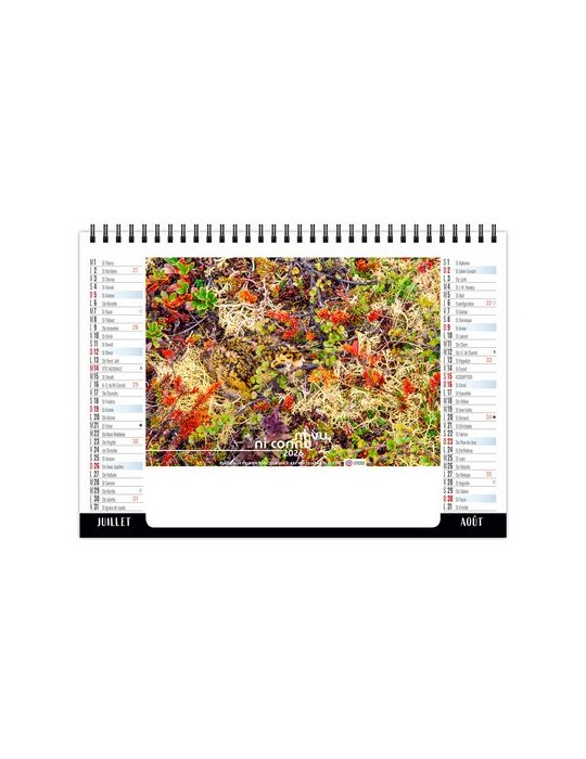 CHEVALET STANDARD 7F - CAMOUFLAGE 2026 - QUADRI