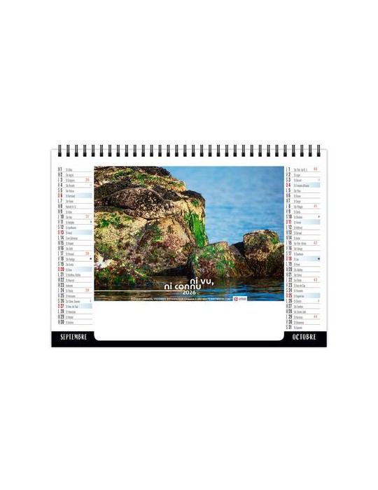 CHEVALET STANDARD 7F - CAMOUFLAGE 2026 - QUADRI