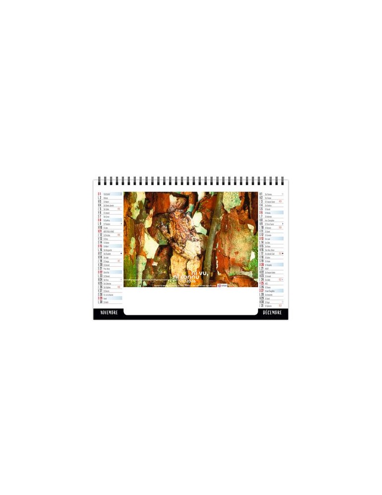 CHEVALET STANDARD 7F - CAMOUFLAGE 2026 - QUADRI