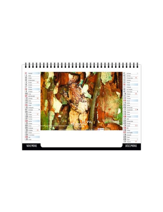 CHEVALET STANDARD 7F - CAMOUFLAGE 2026 - QUADRI